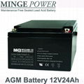 UPS Battery 