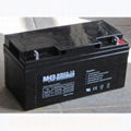 Deep Cycle Battery