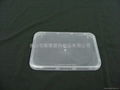 takeaway plastic food containers 4