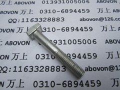 Type T bolts