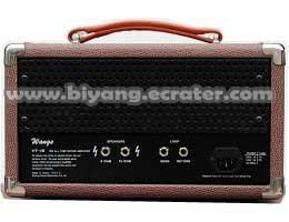 Wangs Guitar Tube Amplifier 15W Head  2