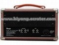 Wangs Guitar Tube Amplifier 15W Head  2