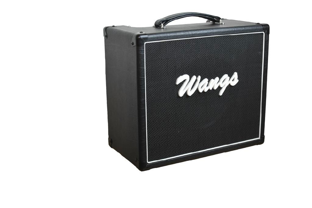 Wangs all tube guitar amplifier VT-10