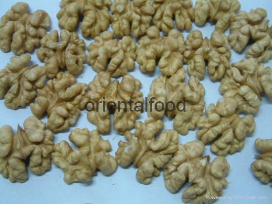 dried nuts 2