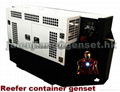 Reefer container generator 1