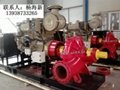 柴油机消防泵 4