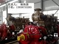 柴油机消防泵 3