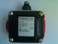 Metal switch D-U1.W 1