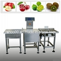 Dynamic Check Weigher CWC-450NS(100g-40kg) 1