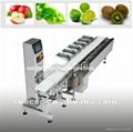 Automatic Weight Grader  Machine 1