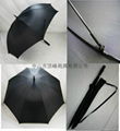 深圳雨傘 1