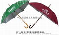 珠海雨伞 1