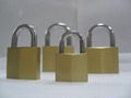 brass padlocks/combination locks/diamond