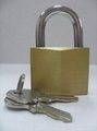 brass padlocks/combination locks/diamond locks/copper/hardware 4