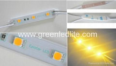 Newest sepistar LED Module SMD led