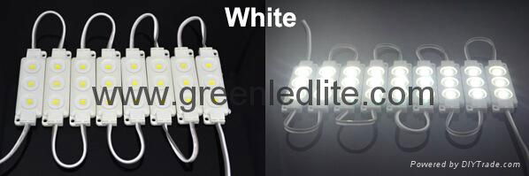 colorful PVC Injection led module SMD5050 3LED DC12V IP67