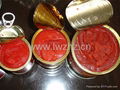 Canned tomato paste 1