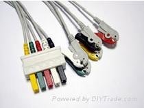 Siemens 5 lead wires
