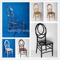 Resin Clear Crystal Transparent Phoenix Chairs