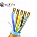 INSTRUMENTATION CABLE(PVC XLPE FR SR Insulated)