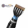 INSTRUMENTATION CABLE(PVC XLPE FR SR Insulated) 2