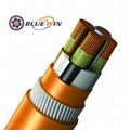Fire Resistant Cable (FR Cable) 2