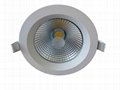 LED Downlight with Internal LED Driver