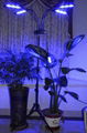 夹子植物生长灯80W