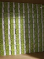 1375lm 11W 360°LED PL lamp Replaces 20W-26W CFL - 2 Pin G24 Base