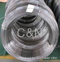 Stainless steel coil tube,pipe coil