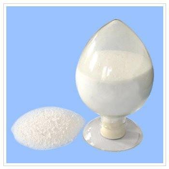 Calcium Stearoyl Lactylate(CSL)