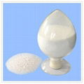 Calcium Stearoyl Lactylate(CSL) 1