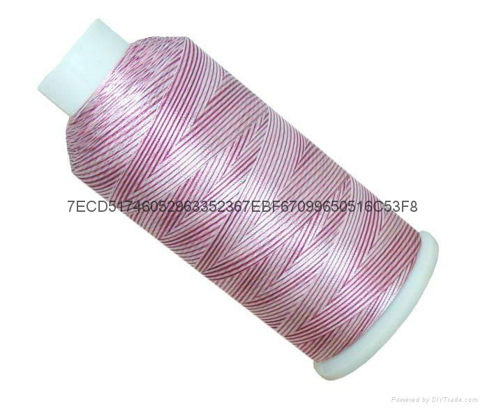 Polyester Embroidery Thread 3