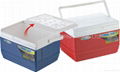 Car Cooler Box Ice Cooler Box 1