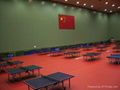 Ping pong sport floor surface  5