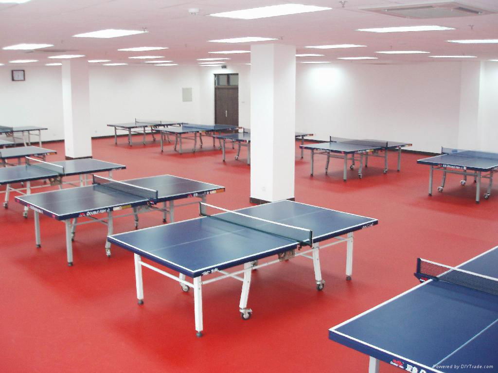 Ping pong sport floor surface 