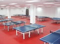 Ping pong sport floor surface 