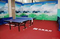 Table tennis floor mat 3