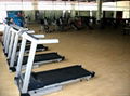 Gym/fitness sports surface floor 2