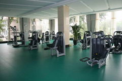 Gym/fitness sports surface floor