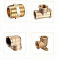 Brass pipe fittings 1