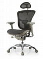 Ergonomic Ergohuman Mesh Office Chair 1