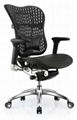 Ergonomic Ergohuman Mesh Executive Chair