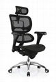 Ergonomic Mesh Office  China Ergohuman Chair 1