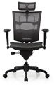 Ergonomic Executive Mesh Office Chair