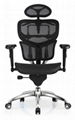 Ergohuman Office Mesh Manager Executive Chair 1