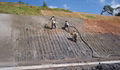 dry shotcrete mahcine application