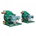 peristaltic hose pump