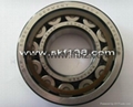 Cylindrical Roller Bearing