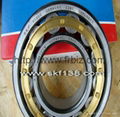 Cylindrical Roller Bearing